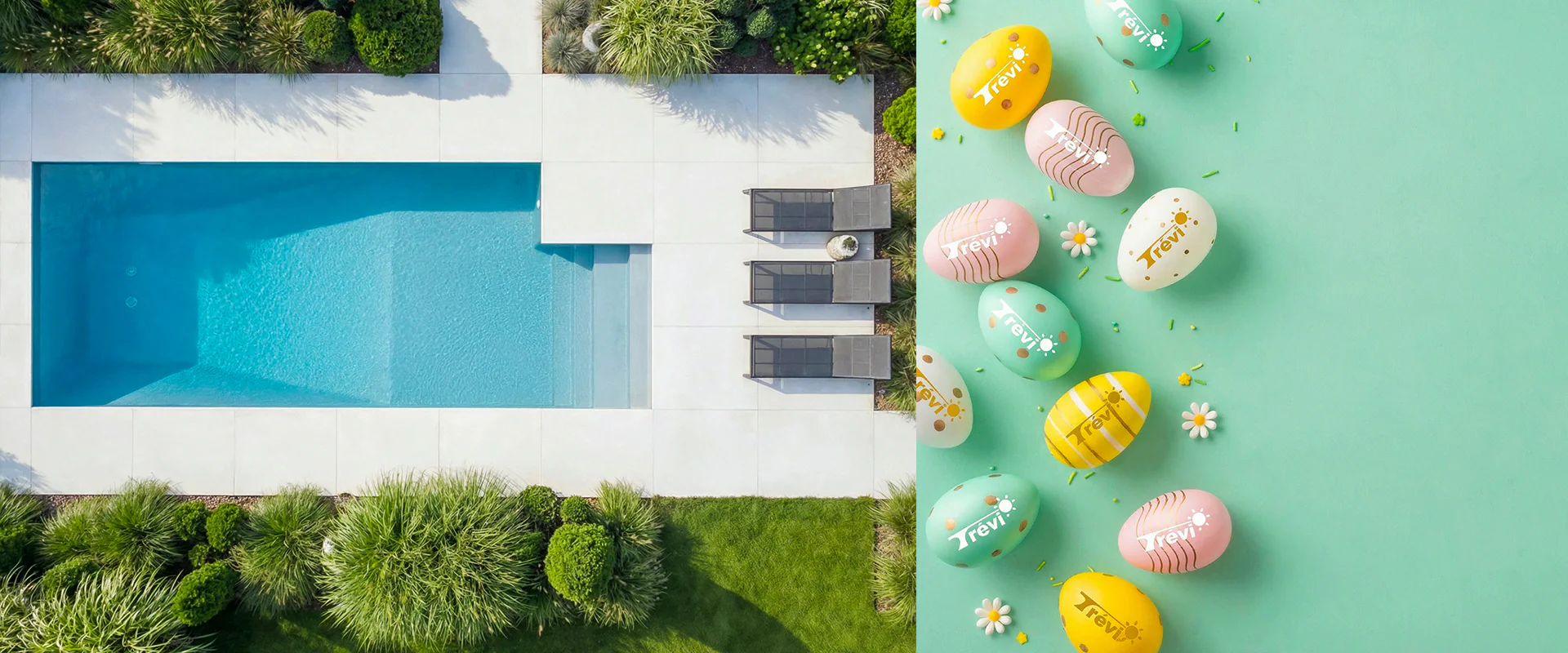 Créez votre oasis de rêve